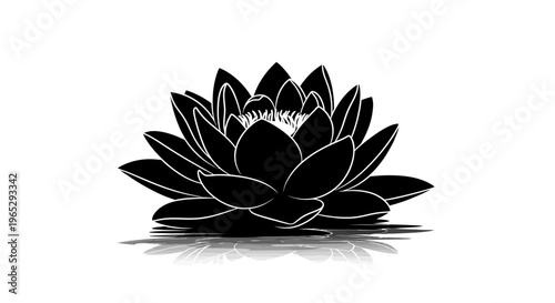 Black Lotus Flower Closeup View.