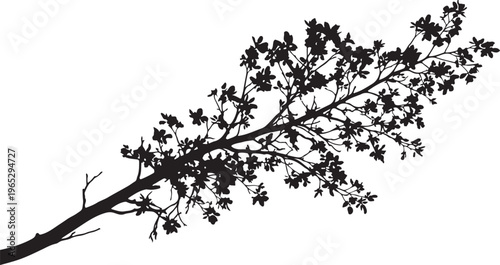 Tree branch, leafy silhouette, black, vector, graphic resource isolated on Transparent Background