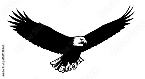 American Bald Eagle in Flight.