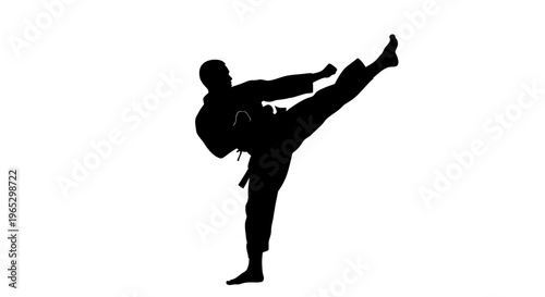 Man doing a high kick move.