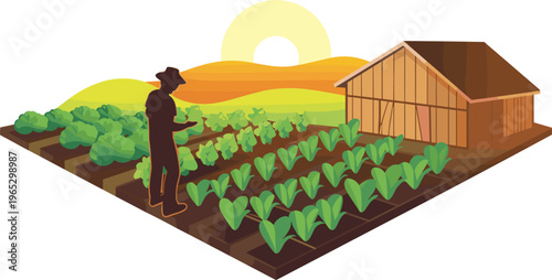 farmer tending vegetable farm near barn at sunrise, isometric agriculture illustration, organic farming landscape, rural cultivation and fresh crop production