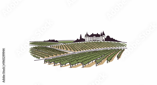 Stylized illustration of a vineyard with a chateau in the distance