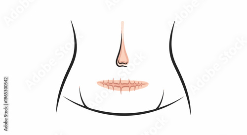 Stylized illustration of a human nose and mouth area