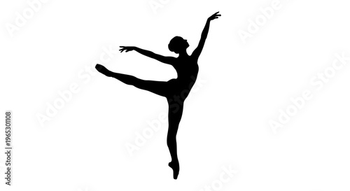 Silhouette of female ballet dancer posing.