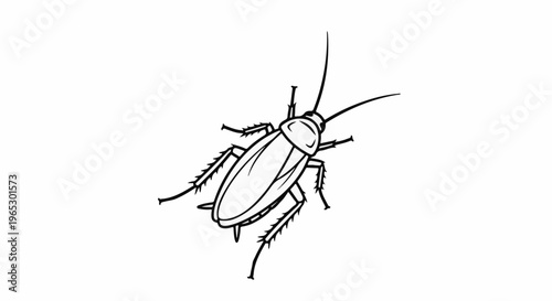 Stylized black and white line drawing of a cockroach on a white background