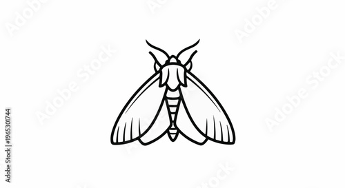 Stylized black line art of a moth with spread wings on a white background