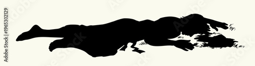 Vector drawing. Man laying on the ground