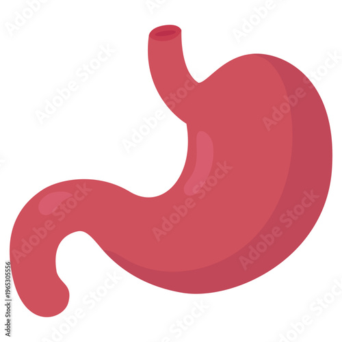 Human Stomach Organ Icon