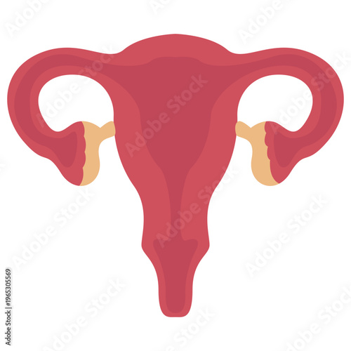 Female Reproductive System Icon