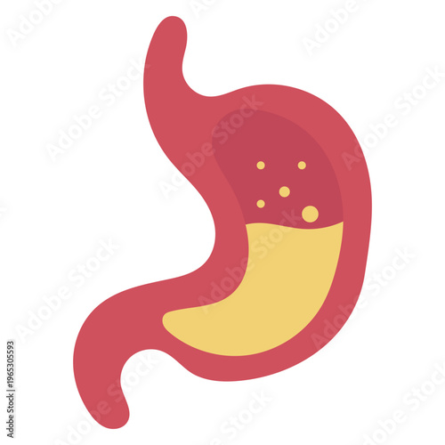 Stomach Digestion Icon