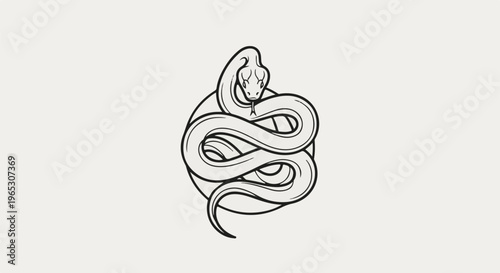 Stylized line art of a coiled serpent with a distinct head and forked tongue