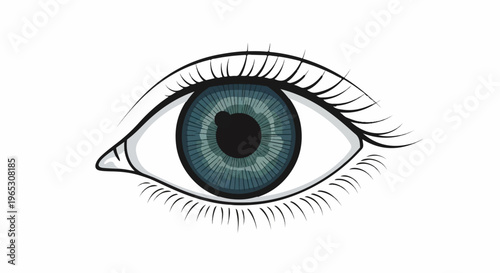 A detailed illustration of a blue and black human eye with defined lashes
