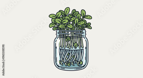Sprouts growing in a glass jar with water
