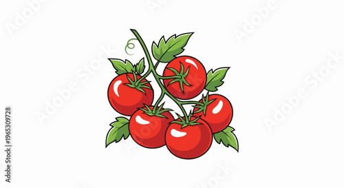 A vibrant illustration of ripe red tomatoes on the vine with green leaves