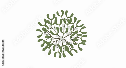 Delicate mistletoe sprig with white berries on a white background