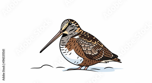 Detailed cartoon illustration of a brown bird with a long beak and patterned feathers