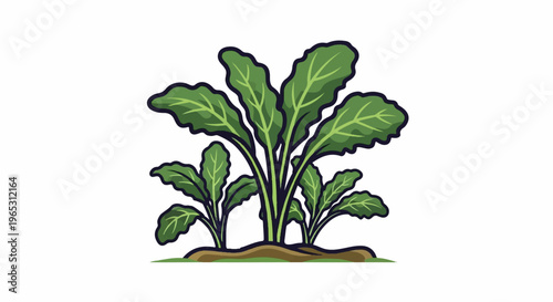Lush green plants with broad leaves emerge from brown soil