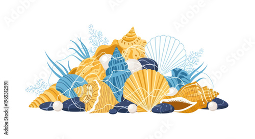 Beach Seashells Collection: Tropical Marine Life, Ocean Treasures, Coastal Decor