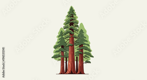 Stylized illustration of towering coniferous trees with reddish-brown trunks and green foliage