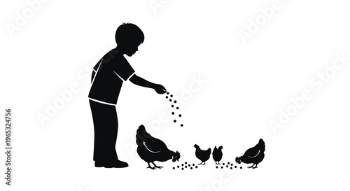 Young boy scattering feed for chickens a striking black silhouette