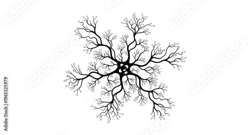 Abstract Snowflake Tree Branch Pattern Isolated on White Background