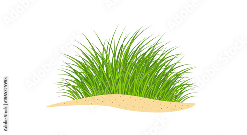 Green Grass Growing on Sandy Dune, Isolated on White Background