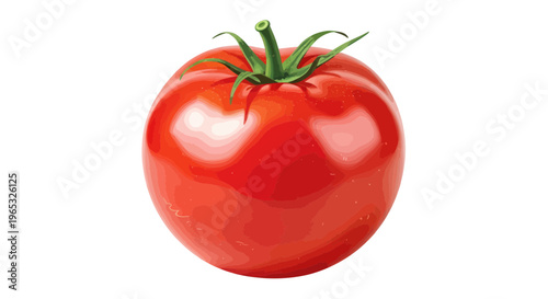 Ripe Red Tomato with Green Stalk Isolated on White Background
