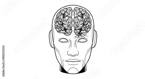 Human Head Silhouette with Detailed Brain Illustration