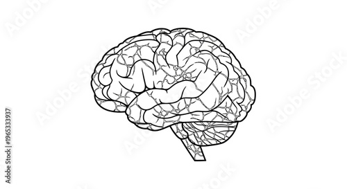 Line Art Brain Illustration