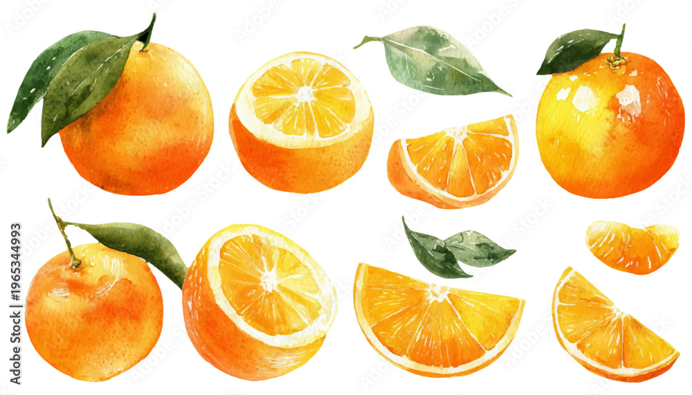 Naklejka premium Fresh citrus fruits watercolor illustration set presenting whole and sliced oranges, mandarins, and clementines accompanied by green leaves, isolated on a white background