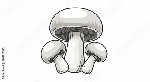 Three white mushrooms with grey gills and black outlines