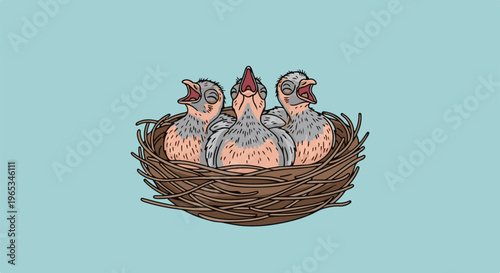 Three baby birds are in a nest, mouths open wide, waiting to be fed