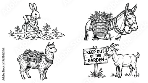 Camping gear and outdoor adventure equipment collection.