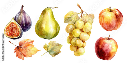 Watercolor illustration depicting a collection of seasonal fruits and autumn leaves, conveying concepts of healthy eating, organic food, fall harvest, and nature's bounty