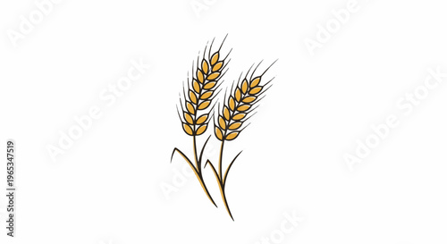 Two stylized golden wheat stalks with brown stems on a white background