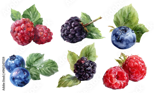 Hand painted watercolor illustration of a delicious assortment of berries, presenting healthy and fresh organic food options for nutritious diets, perfect for culinary and lifestyle themes
