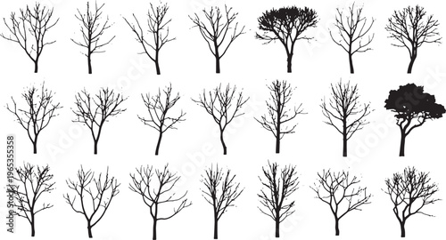 set of bare winter tree silhouettes flat design vector illustration