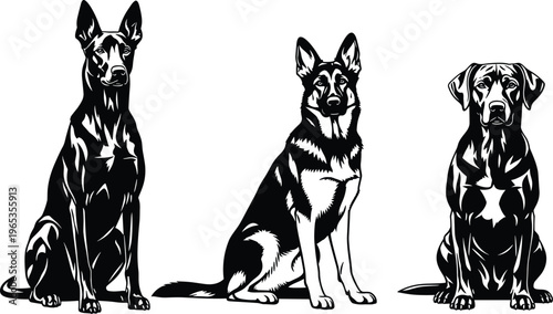 Set of majestic dog silhouettes featuring Doberman, German Shepherd, and Labrador Retriever in sitting poses for pet care, canine breeding, and animal rescue design projects.