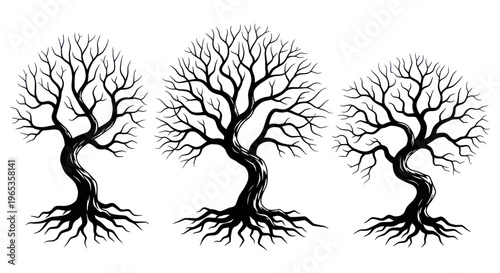 Three bare winter trees with spreading roots, graphic design, isolated on white