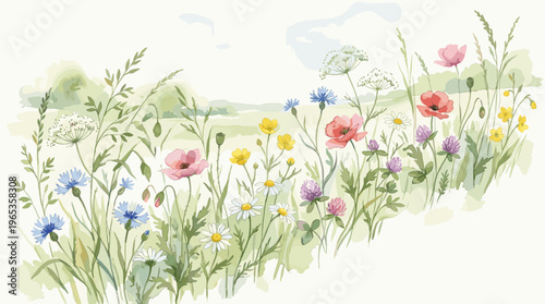 A watercolor illustration of a vibrant summer meadow filled with various wildflowers, including poppies, daisies, cornflowers, and clover, set against a soft green landscape and pale sky.