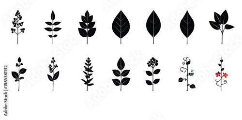 Black and white stylized illustrations of various leaf types and patterns
