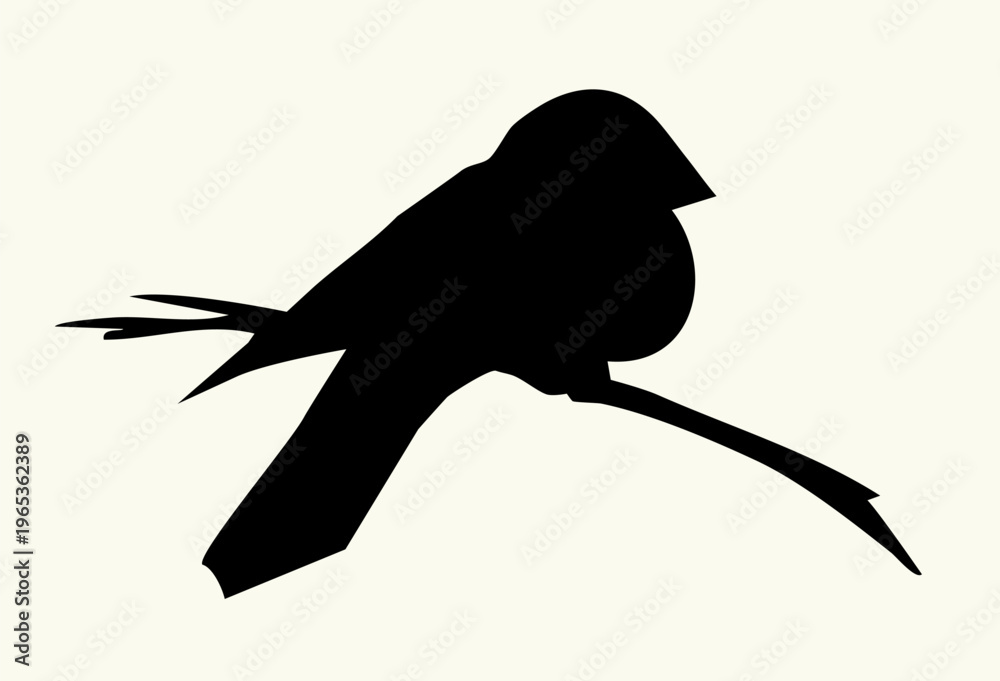 Obraz premium Vector drawing. Tit on white sky backdrop.