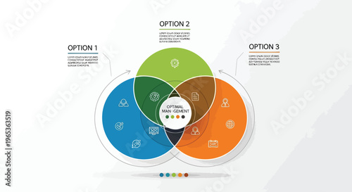 Venn diagram, infographic template, business presentation, colorful vector