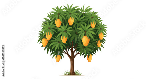 Ripe Mango Tree Laden with Fruit, Lush Green Leaves, Isolated on White Background