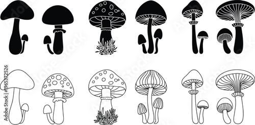 Hand Drawn Mushroom Vector Set Featuring Forest Fungus Toadstools in Black Silhouette and Line Art Styles for Botanical Nature Design Projects