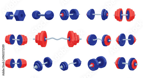 Collection of Dumbbells and Barbells for Fitness Training