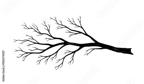 Bare tree branch silhouette minimal nature vector illustration
