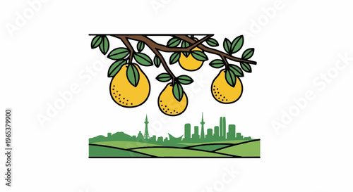 Fruit tree with oranges hangs over a green cityscape of hills and buildings