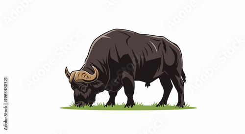 A powerful dark-hued water buffalo is depicted grazing on green grass