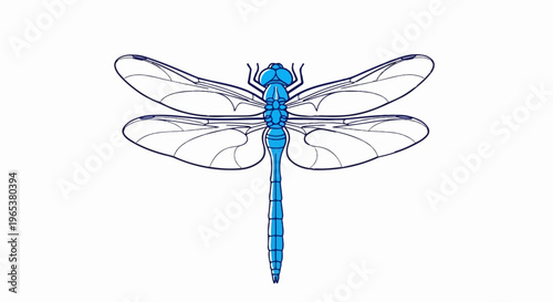 A stylized, minimalist illustration of a blue dragonfly with translucent wings